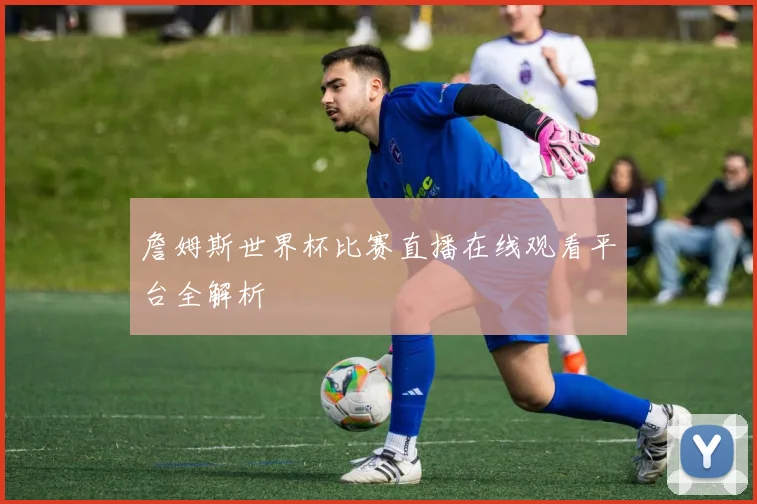 詹姆斯世界杯比赛直播在线观看平台全解析